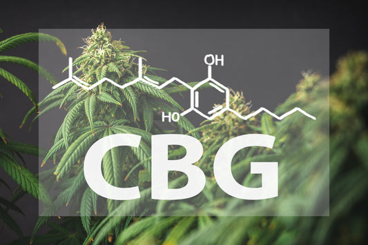 What is CBG and when was it discovered?
